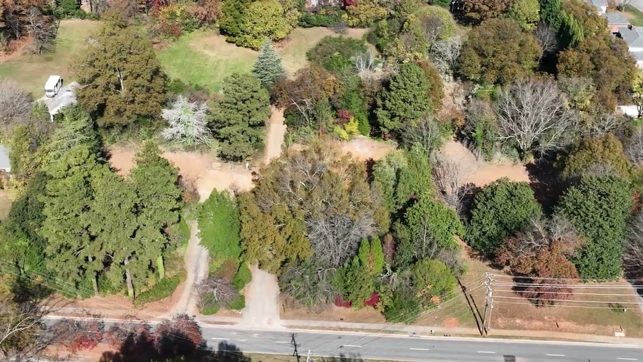 The Battle to Save West Friendly Avenue's Century-Old Trees from High-Density Development